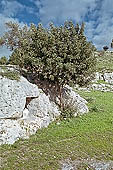 Necropolis of Pantalica 
